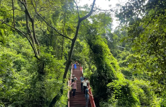 清遠英西峯林走廊+洞天仙境+峯林曉鎮一日遊可英文服務