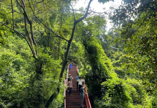 Qingyuan Yingxi Peak Forest Corridor, Dongtian Xianjing, and Fenglin Town 1-day tour with English service available