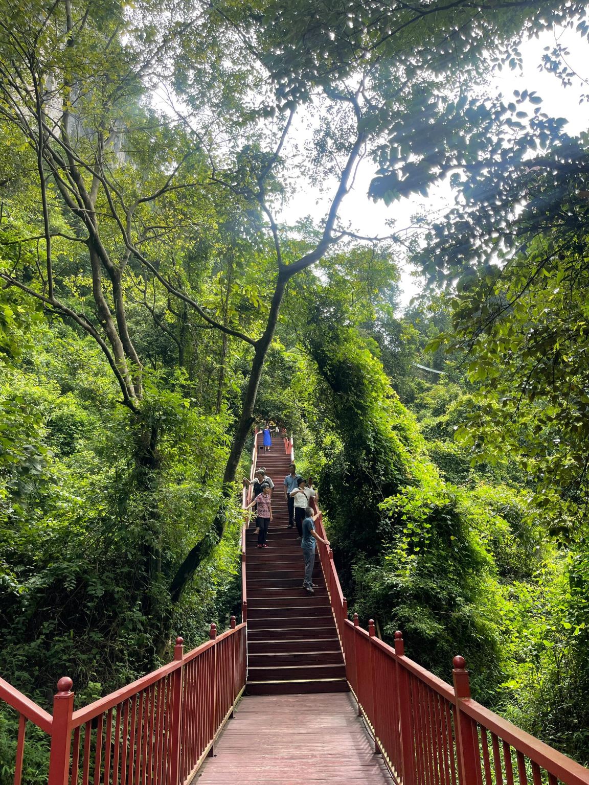 Qingyuan Yingxi Peak Forest Corridor, Dongtian Xianjing, and Fenglin Town 1-day tour with English service available