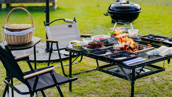 tour di un giorno all'isola di Nami e al parco ornitologico di Gapyeong Begonia noleggio con conducente esclusivo : esperienza di barbecue e falò