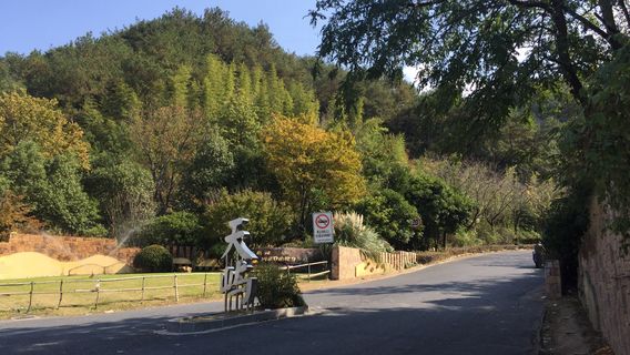淳安日遊