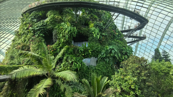 新加坡魚尾獅公園+聖淘沙+牛車水【中文專車-行程可定制】