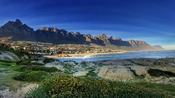 安哥拉境內  專業翻譯|旅遊地陪|商務翻譯|展會翻譯|陪同拜訪