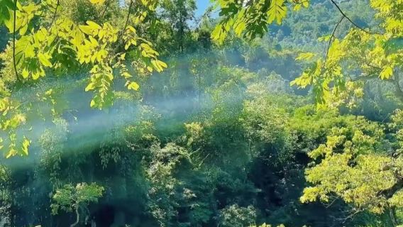 荔波日遊