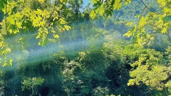 荔波日遊