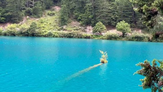 Jiuzhaigou Shared Transfer From Jiuzhaigou to Huanglongjiuzhai Station|Car is available