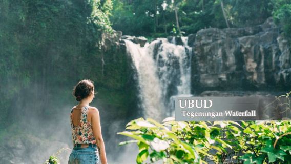 Ganztägige Tour durch Ubud mit Wasserfall, Glasbrücke, Weihwasser, Reisterrasse und Affenwald