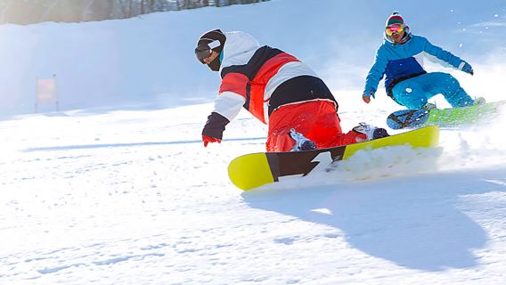 Xe đưa đón|Xe đưa đón khứ hồi/1 chiều đến Khu trượt tuyết Daemyung Vivaldi Park SONO Hàn Quốc