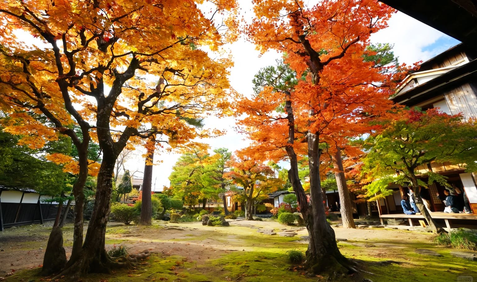 Shirakawa-go Day Tour