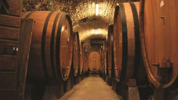 De Sienne : Dîner dans les vignobles du Chianti en petit groupe
