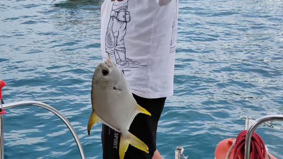 【三亞海釣】海釣可散客拼團/包船+單體/雙體釣魚艇+導釣現場教學+帶探魚器+漁獲皆可帶走+獨立洗手間