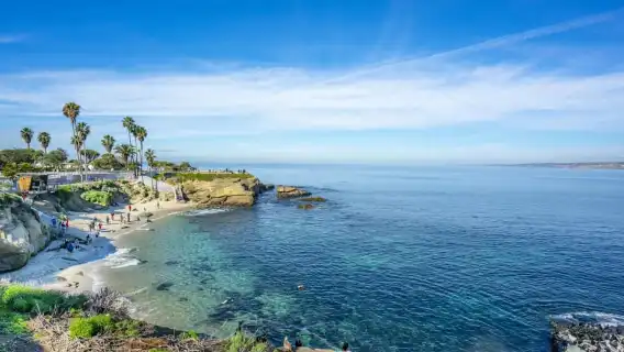 La Jolla: Full-Day Snorkel Gear Rental with Wetsuit Option