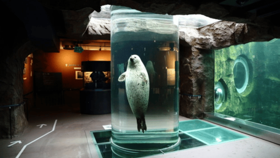 北海道旭山動物園と美瑛青い池への日帰り旅行