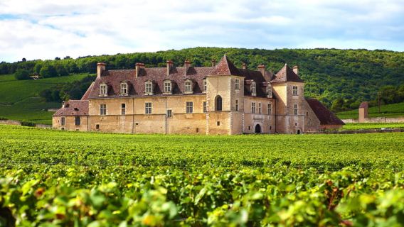 จากดิฌง: ทัวร์หมู่บ้านเบอร์กันดีและชิมไวน์