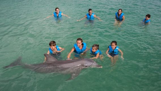 Puerto Morelos: Swim with dolphins Primax