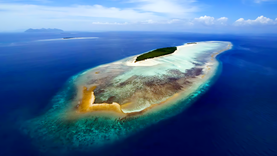 Excursion d'une journée à Semporna : Mataking, Timba-Timba et Pom Pom Island