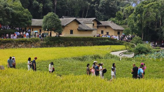 韶山導遊講解【毛澤東故居+銅像廣場+毛澤東紀念館+通行證】