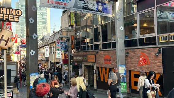 Tokyo Skytree + Legoland Japan [Classic Family-Friendly]