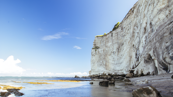 LABUAN BAJO RANGKO CAVE Private Trip