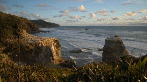 新西蘭羅托魯瓦湖光山色與農場體驗一日遊【中文司導10H】