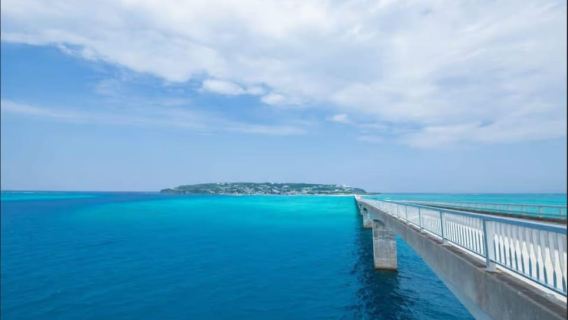 Naha: North Okinawa Sightseeing Tour & Churaumi Aquarium