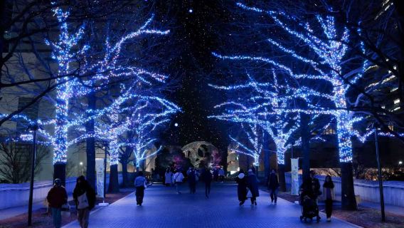 Khám phá điểm check-in nổi tiếng Kamakura + CityWalk ngắm cảnh đêm Yokohama (Triển lãm ánh sáng Tương lai)