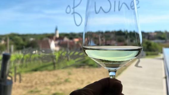 1-day tour of Vienna + Dürnstein + Wachau Cultural Landscape in Austria with Chinese-speaking private charter and customizable itinerary