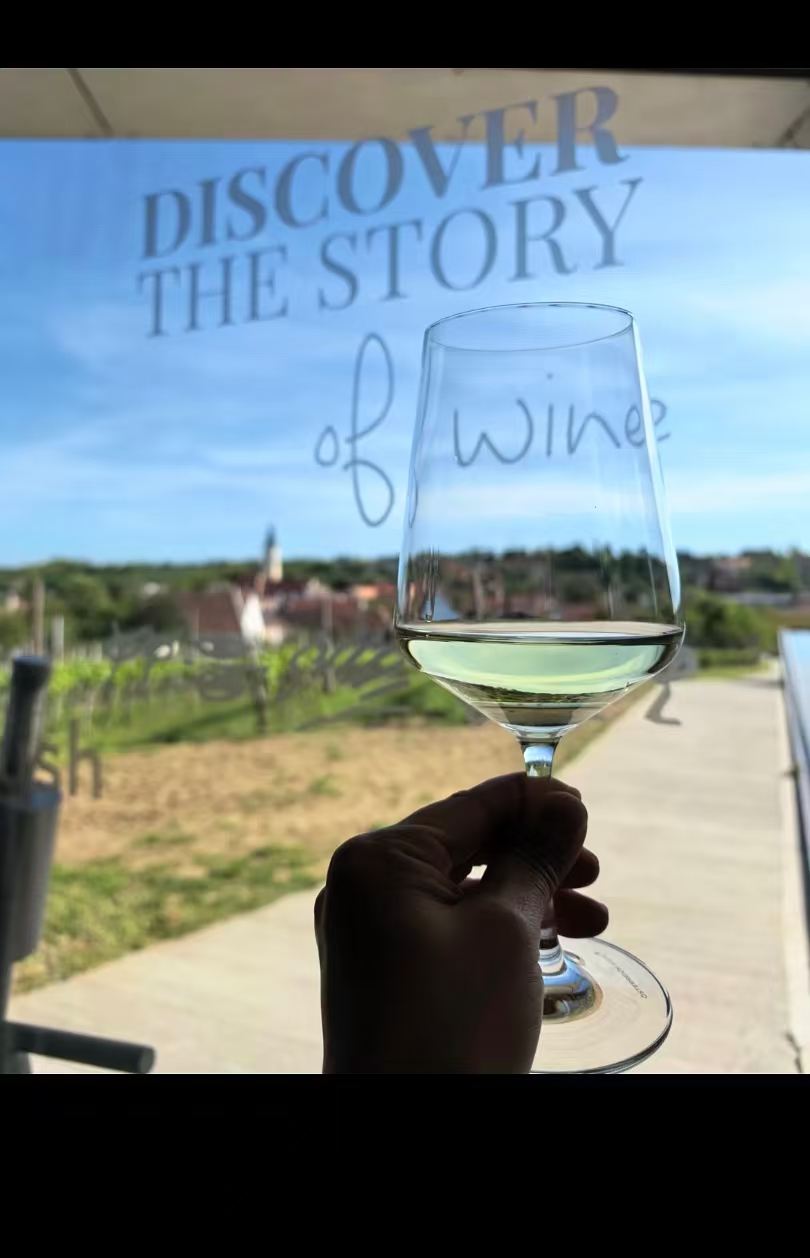 1-day tour of Vienna + Dürnstein + Wachau Cultural Landscape in Austria with Chinese-speaking private charter and customizable itinerary