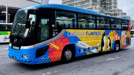 Okinawa Limited-Time Bus Tour | Departing at Noon: Naminoue Shrine × Cape Zanpa Lighthouse × American Village × Southeast Botanical Gardens Light Show
