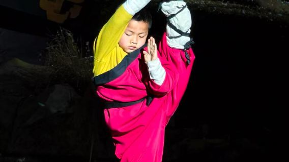 Zen Shaolin · Musikspektakel Hin- und Rückfahrt Transfer