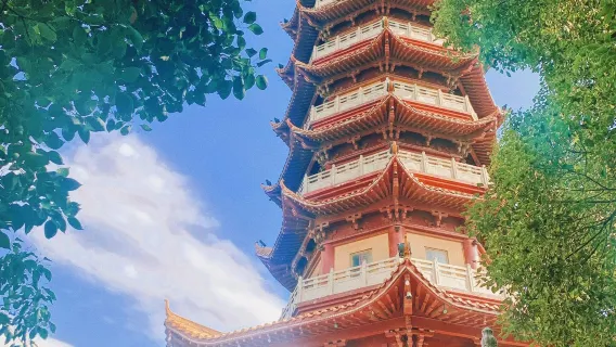 Tour di un giorno alla Torre Yueyang, al Parco dei Panda Giganti Cinesi, all'Isola Junshan e al Tempio Antico Sheng'an con servizio in cinese e inglese