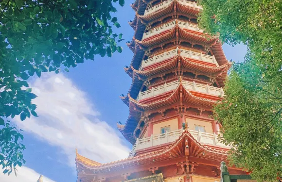 湖南岳陽樓+中華大熊貓苑+君山島+聖安寺一日遊可中英文服務