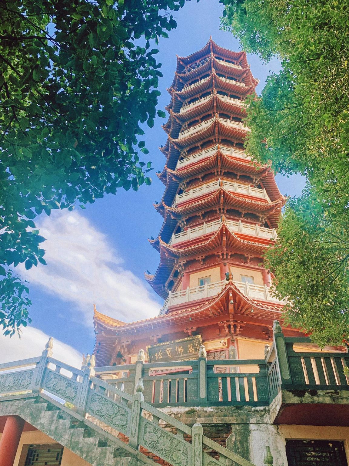 Hunan 1-day Tour: Yueyang Tower + China Giant Panda Park + Junshan Islet + Sheng'an Temple (English Service Available)