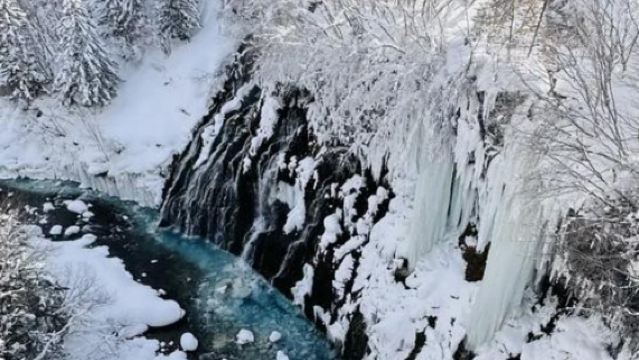 日本札幌來回+旭山動物園+白鬚瀑布+七星之樹+青池/私家包車