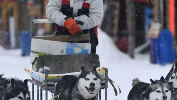 【拼小團】雪鄉-橫道河子純玩1日遊