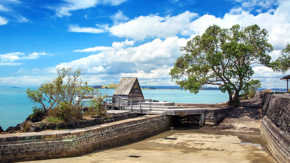 Auckland - Pulau Rangitoto + Tiket bot feri