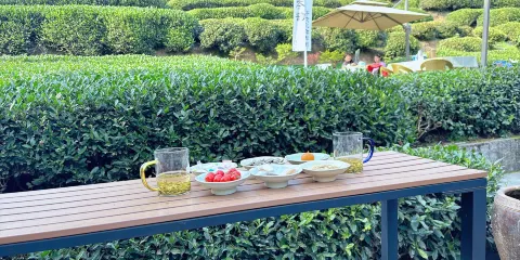 浙江杭州西湖採茶體驗(採茶+炒茶+品茶)/可選航拍攝影套餐(含剪輯+底片全送)