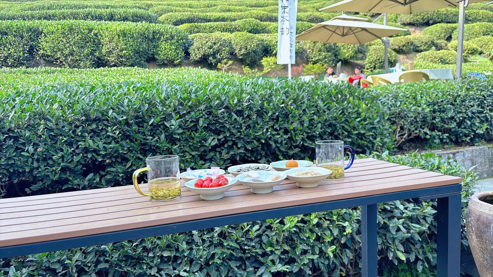 Esperienza di raccolta del tè al Lago Ovest di Hangzhou, Zhejiang (raccolta del tè + tostatura del tè + degustazione del tè) / opzionale pacchetto fotografico con drone (include montaggio + consegna di tutti i negativi)