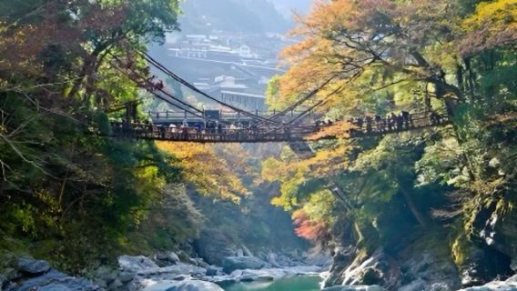 日本德島祖谷溪藤橋+大步危小步危一日遊