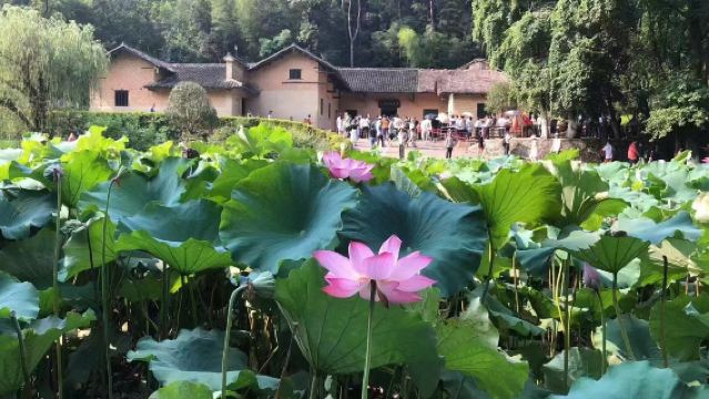 韶山毛澤東故居+劉少奇故里一日遊【贈韶山必消轉乘車】