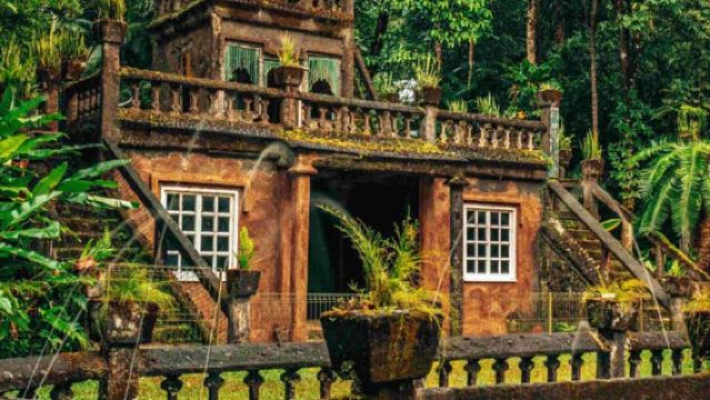 Taman Paronella Kota Langit Cairns + Lawatan Malam Cacing Cahaya Biru [Termasuk Makan Malam | Pandu Pemandu Berbahasa Cina]