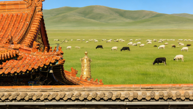 Hohhot Translation/Guide/Local Guide | Exhibition Translation/Business Translation/Attraction Guide | Attraction Tours | English/Russian/Minority Languages | Inquiries Welcome