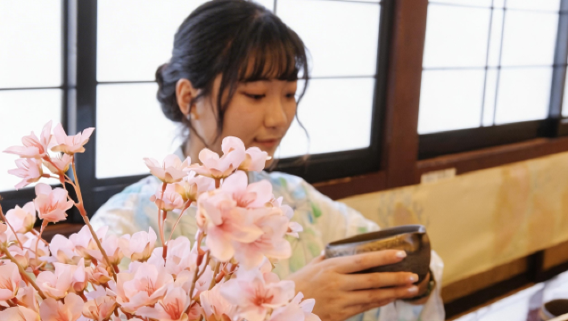 Sumida River Sakura-Themed Traditional Japanese Yakatabune in Japan [Tea Ceremony Experience + Traditional Japanese Performance + Unlimited Soft Drinks + Unobstructed Views from the Second Deck]