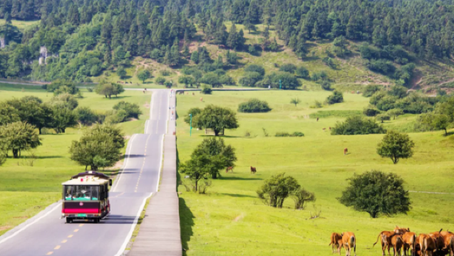 Jednodniowa wycieczka prywatnym samochodem do Wulong w Chongqing z tłumaczem
