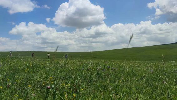 呼市出發敕勒川高山草原+紅石崖一日遊【獨立包車、門票自理】