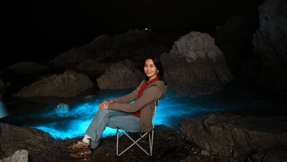 Pelan Mencari Blue Tears Kuala Selangor dengan Pemimpin Dalian - Sedang Membuka Pendaftaran untuk Musim Puncak Blue Tears Kuala Selangor