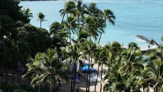 【美國夏威夷歐胡島10H】鑽石山+噴水孔+拉尼凱（不含票）