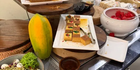 斯里蘭卡CMB科倫坡班達拉奈克國際機場貴賓廳使用券|休息室使用券|VIP|國際出發 休息/餐飲/候機