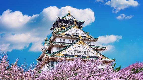 Private charter transfer service between Tokyo and Osaka, Japan (airport meet-and-greet with sign + point-to-point transfer + luggage assistance)
