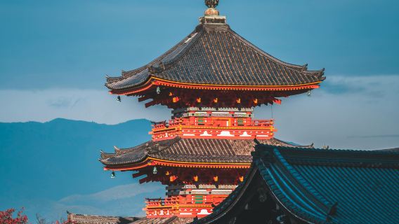 VJW electronic entry card agency filling service for Japan - Visit Japan Web · applicable to entry throughout Japan
